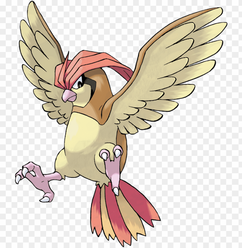 Idgeotto Pokemon Pidgeotto Png Image With Transparent Background