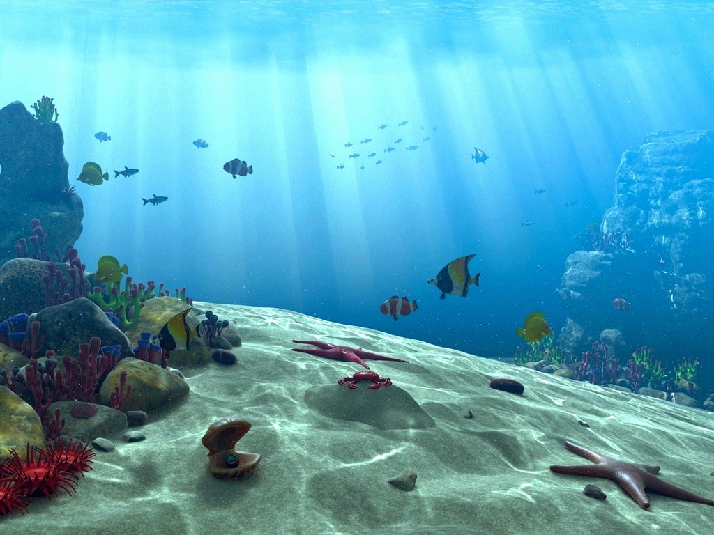 Underwater Ocean Scene Wallpaper By Akchilug