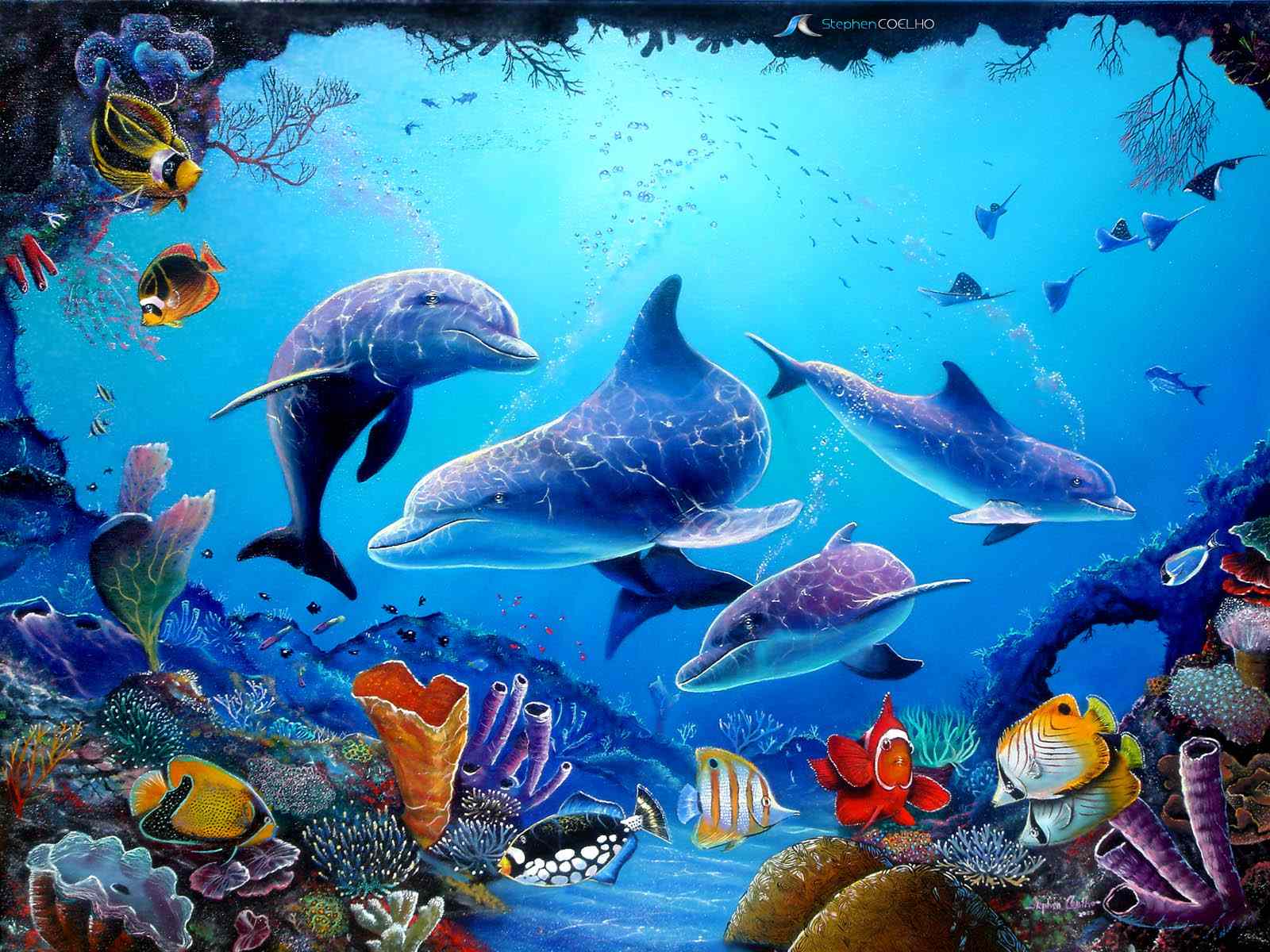 Dolphin Wallpaper For Desktop