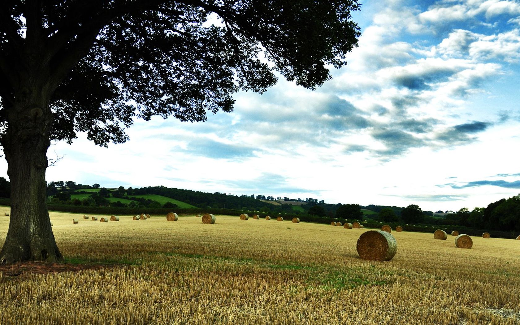 Hay Bales On The Hill Wallpaper