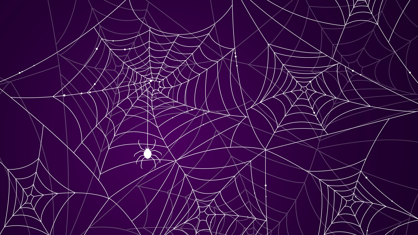 kid spider web wallpaper hd