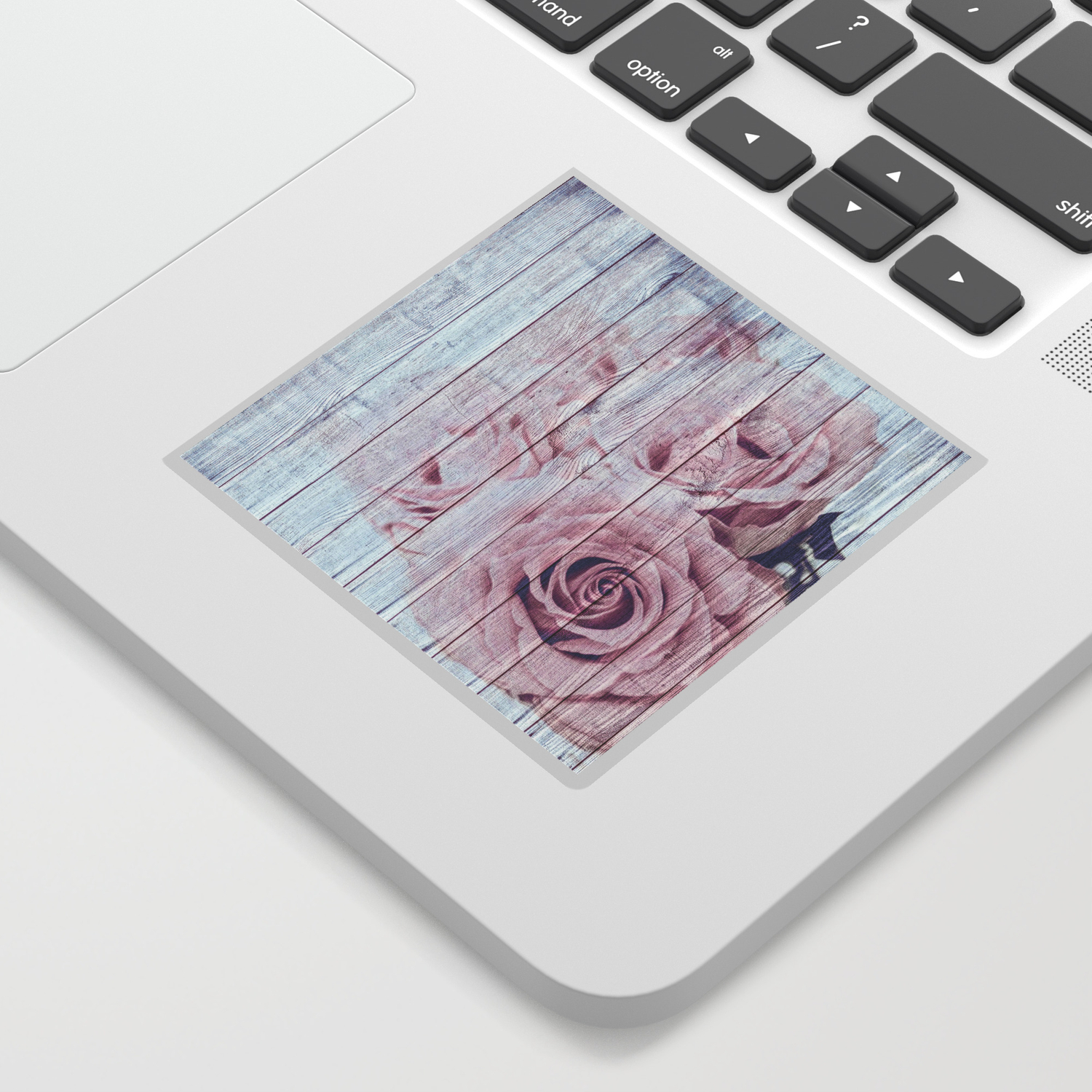 Shabby Chic Dusky Pink Roses On Blue Wood Background Sticker By