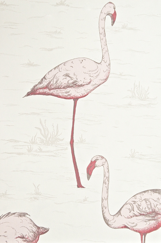 Flamingo Contemporary Wallpaper Pink From Cole And Son