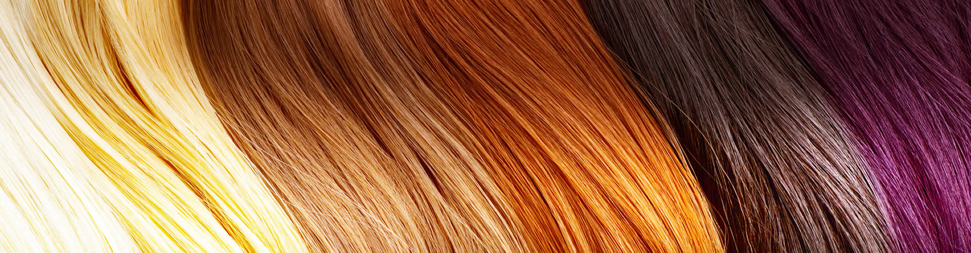 Free Download Ottawa Hair Salon Touch Hair Design Ottawa Hair
