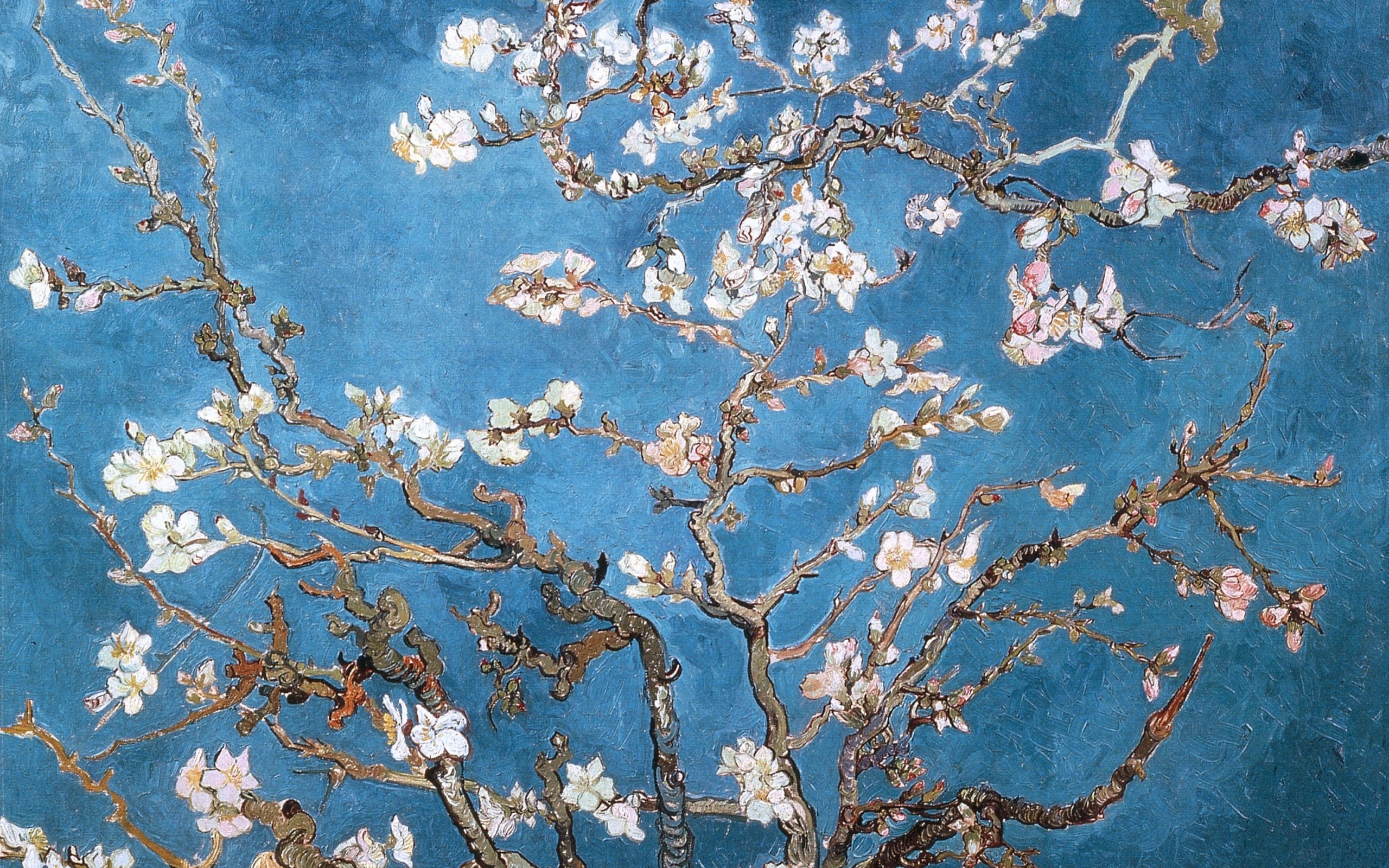 Vincent Van Gogh Artwork Almond Wallpaper Art HD