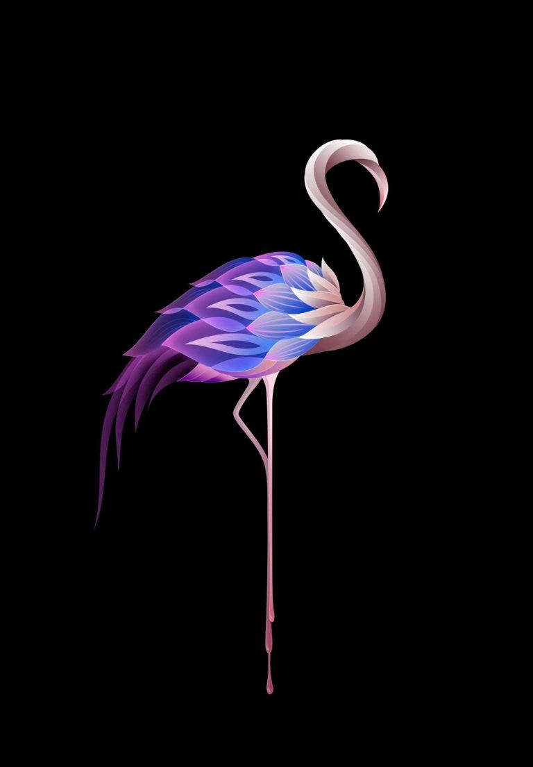 Flamingo Art iPad Nyswqjfi8bj5kgjt Wallpaper