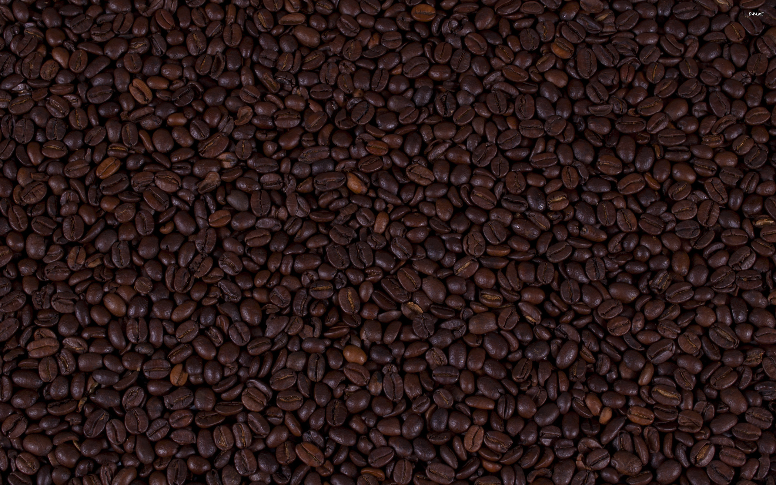 Coffee beans wallpaper   581579