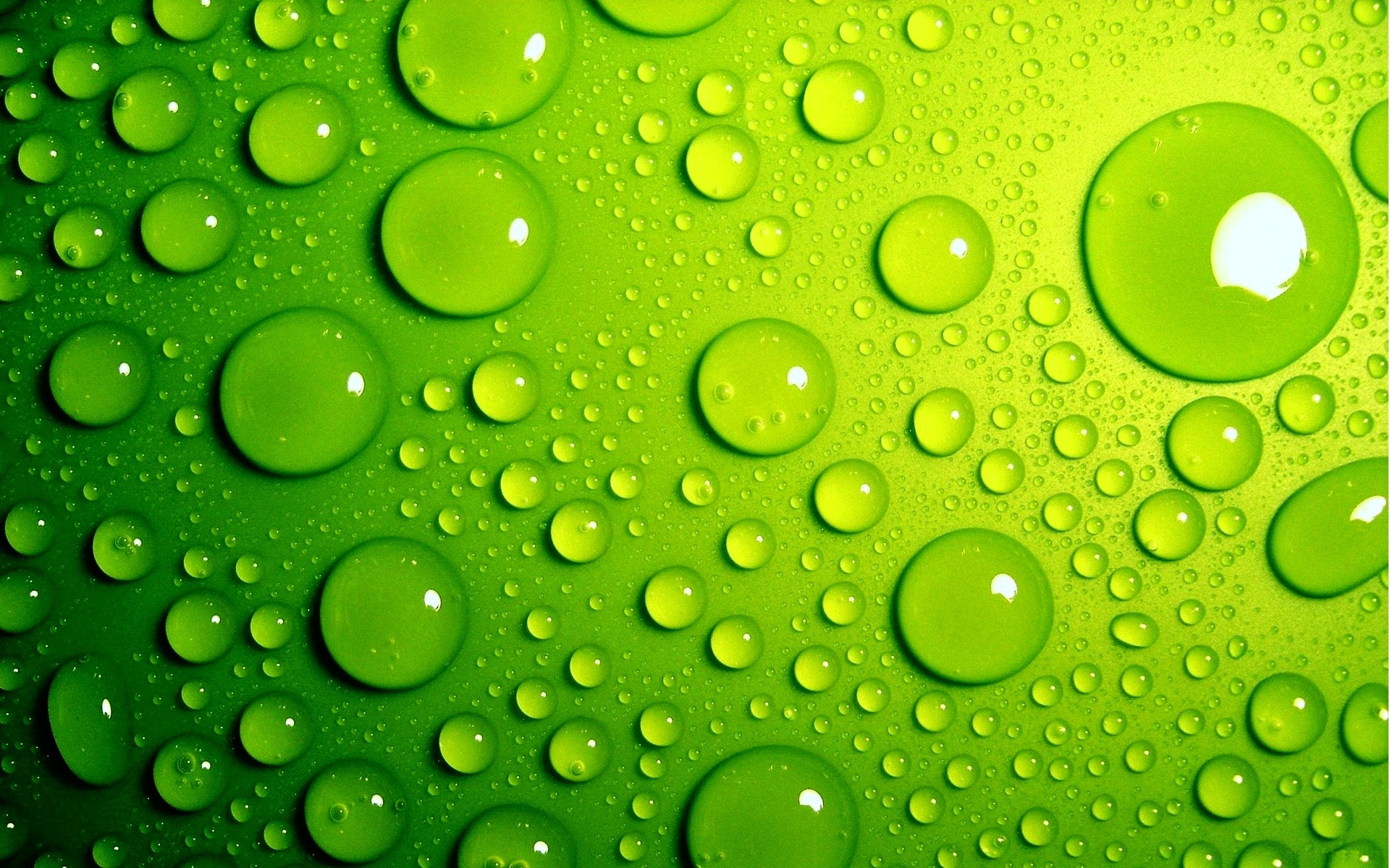Waterdrops On Green Surface HD Wallpaper