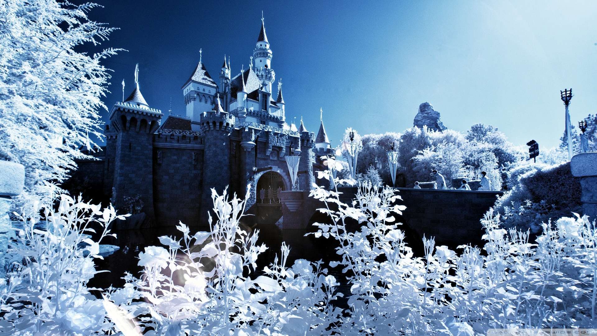Wallpaper Sleeping Beauty Castle Winter 1080p HD Upload At