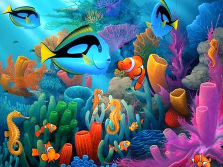Under The Sea HD Wallpaper