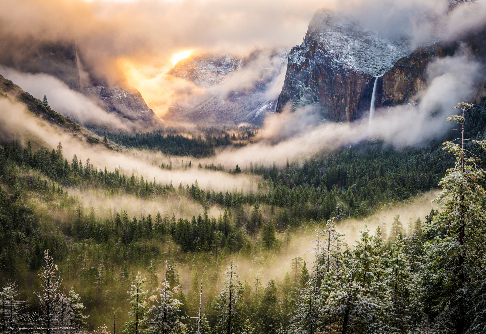 Suche Eine Lichtung Wintersturm Foresta Kalifornien Usa