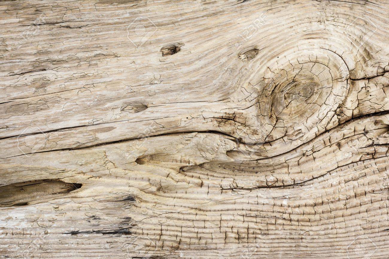 Driftwood Background Texture Stock Photo Picture And Royalty