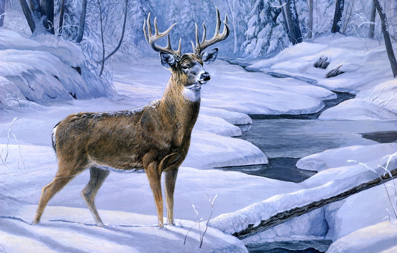 Wallpaper winter forest snow stream deer forest painting