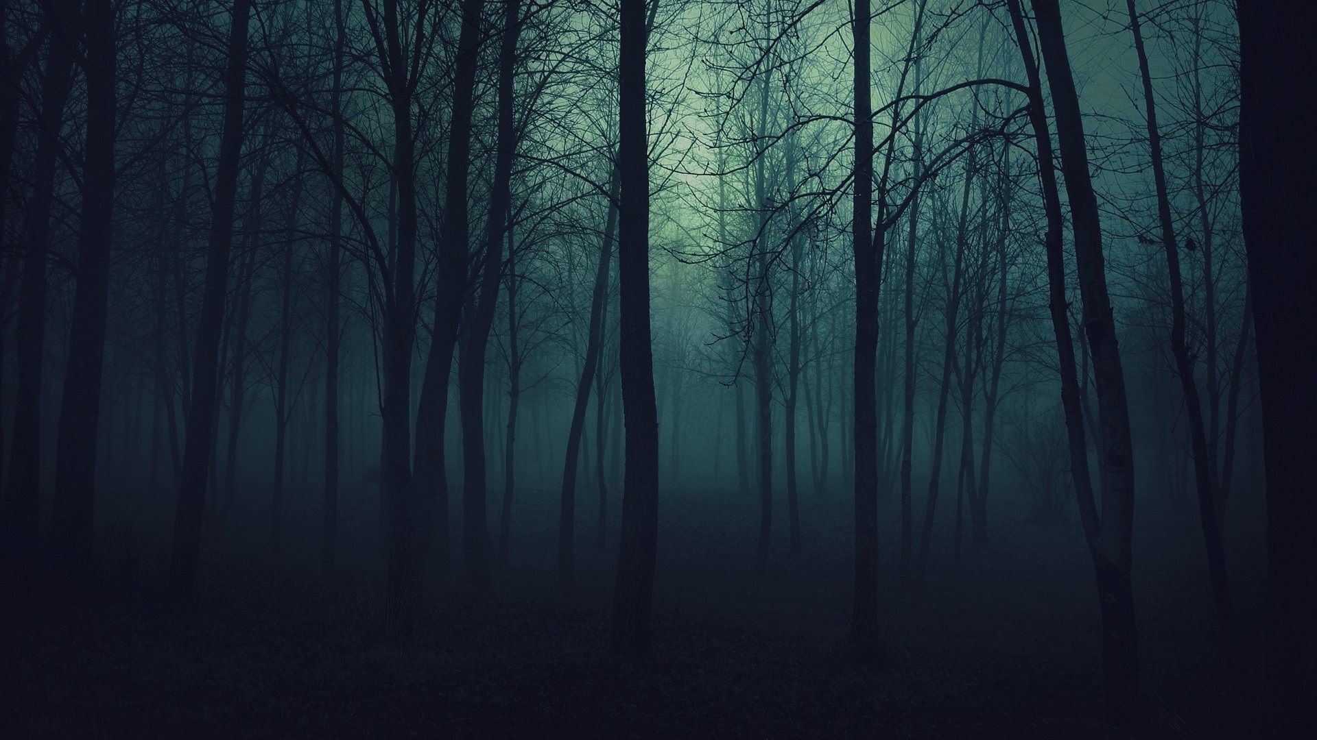 Nanchy On Beings Forest Background Dark