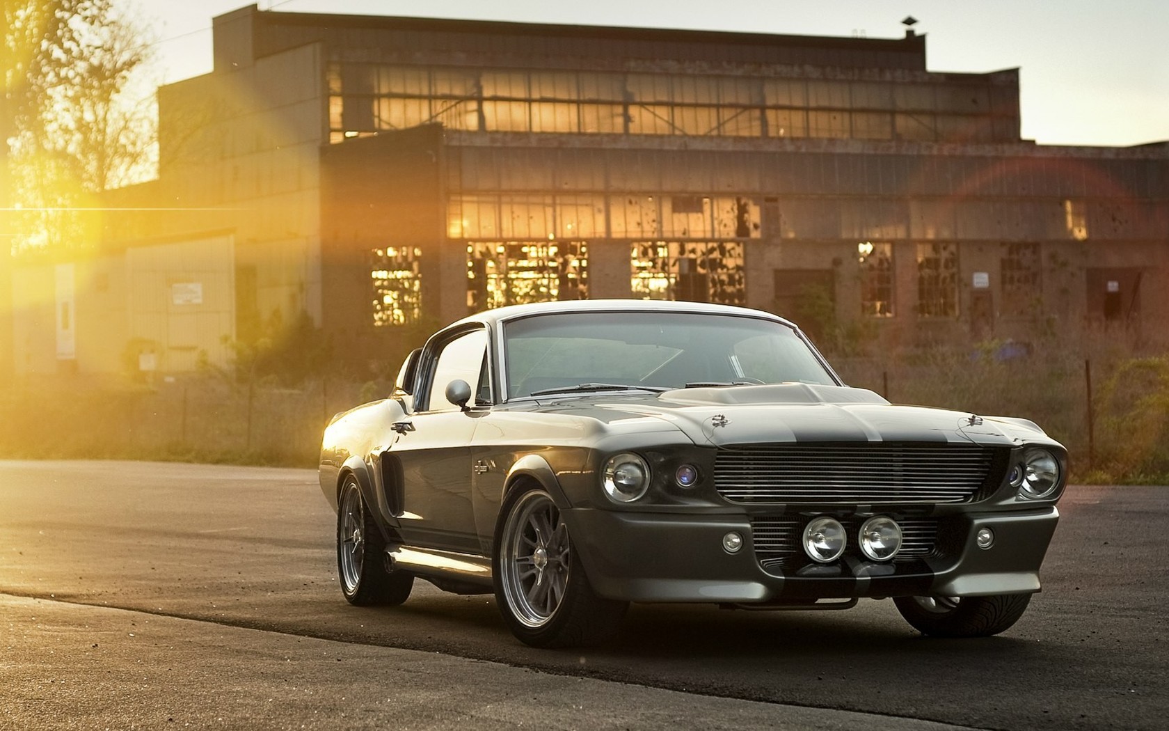 Ford Mustang Shelby Gt Wallpaper