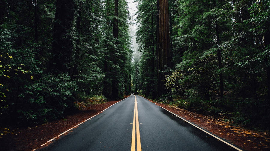 Country Road Wallpaper