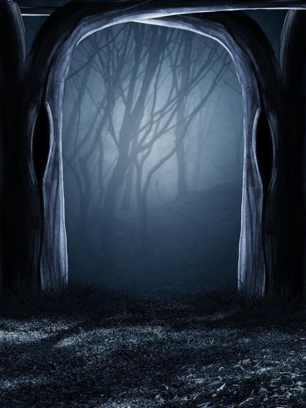 Cool Scary Forest Background Creepy Premade