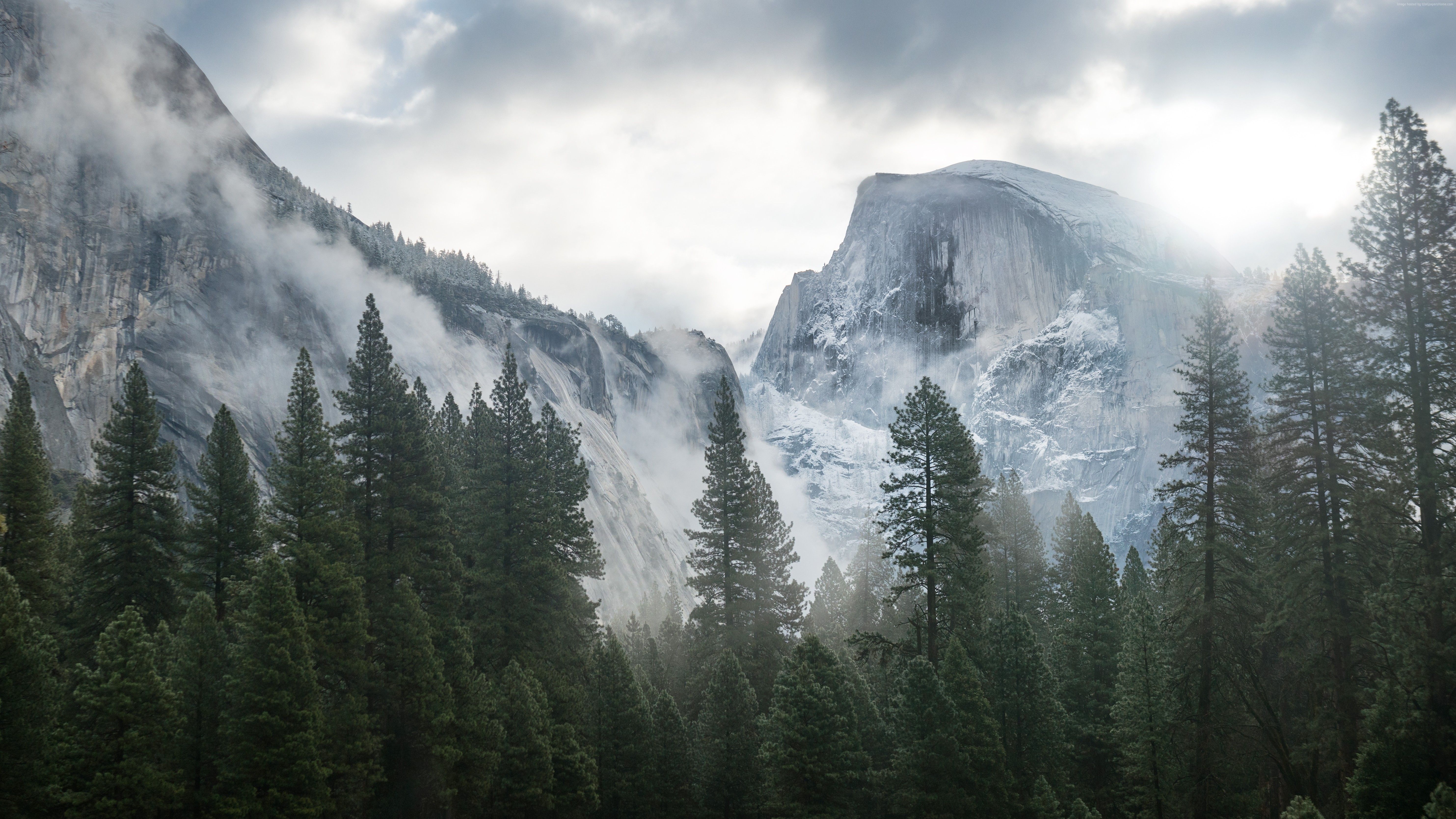 Yosemite Wallpaper Nature Forest 5k