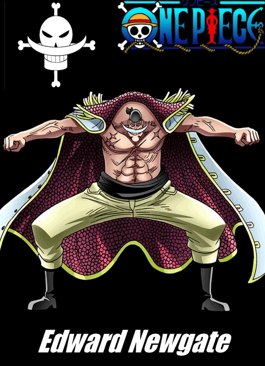 Edward Newgate The King Of Pirates Wallpaper