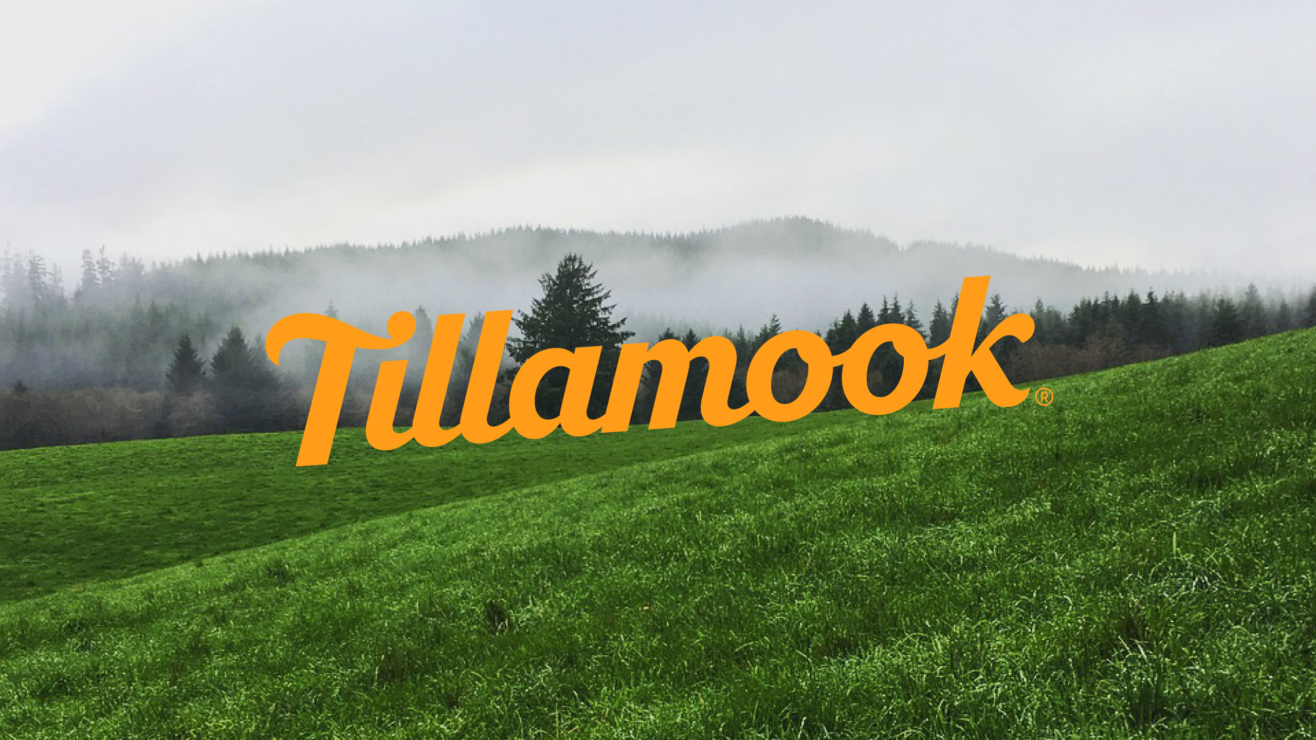 Tillamook County Creamery Association Linkedin