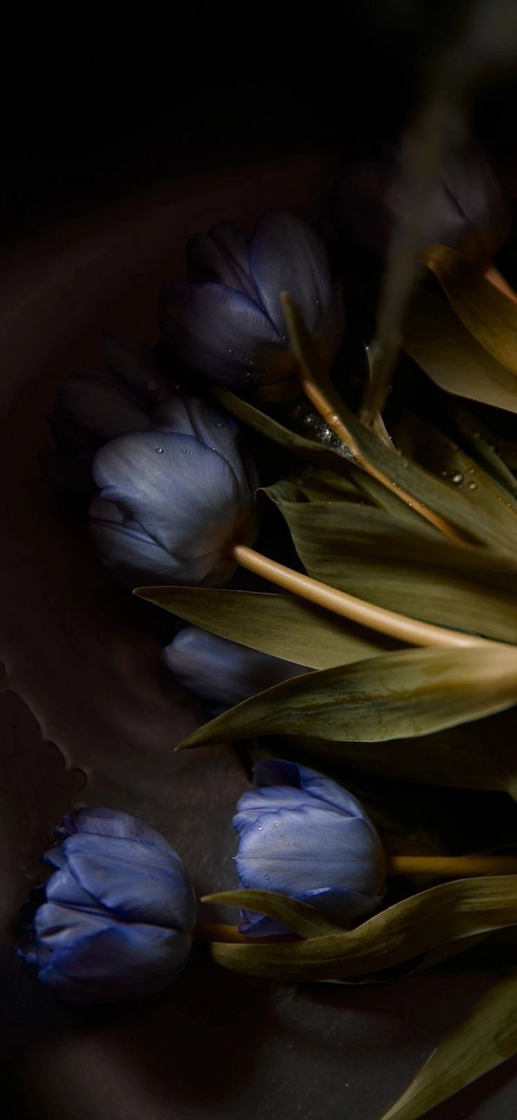 Blue Flowers Wallpaper