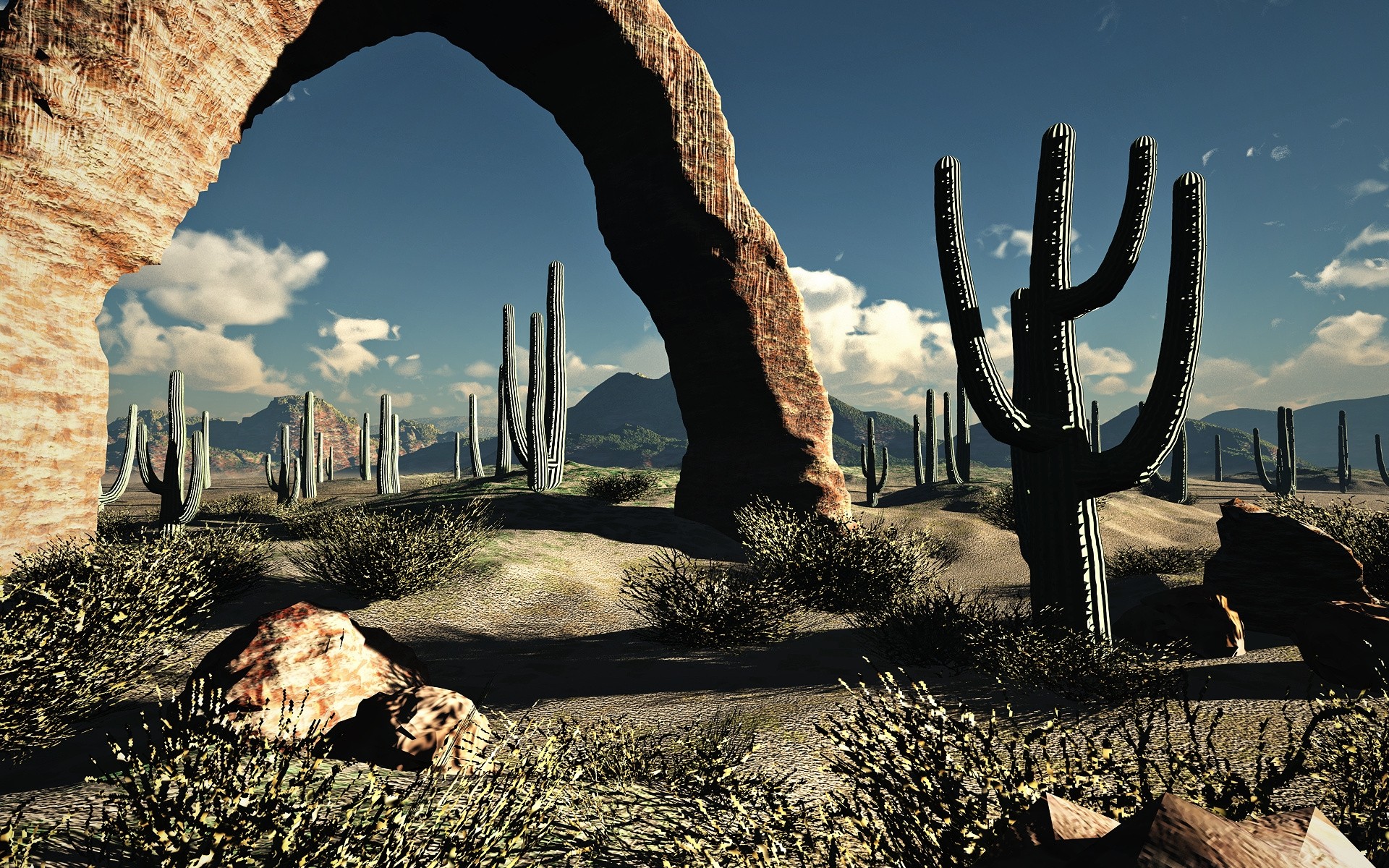 Landscapes Nature Desert Cactus Wallpaper Background