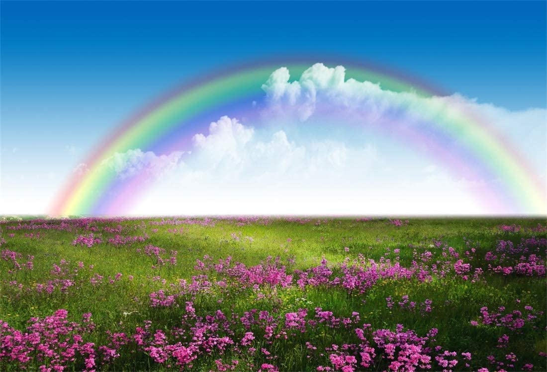 Amazon Yeele Photography Background Spring Meadow