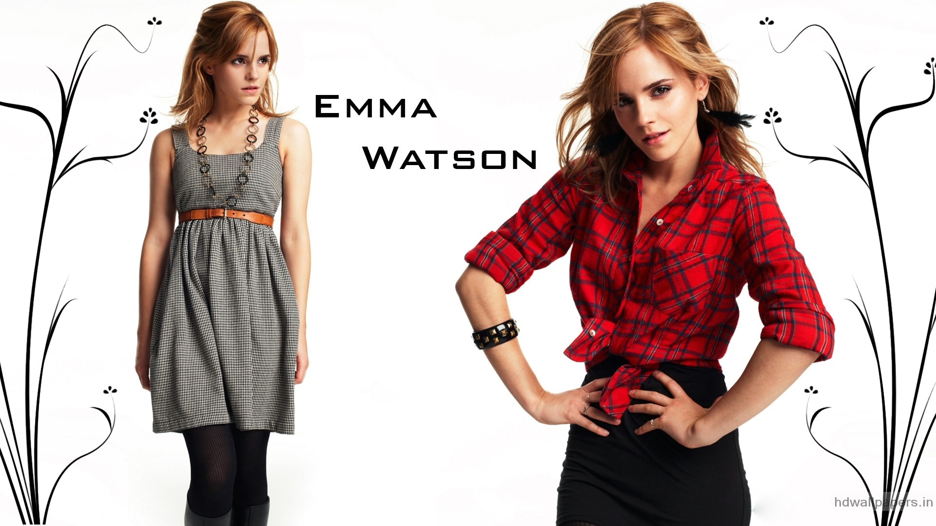 Stock Photos Of Emma Watson HD Image Photography