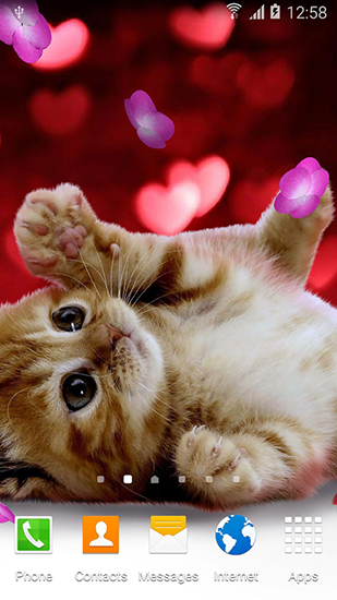 Cute animals by Live wallpapers 3D   awesome live wallpapers with cute
