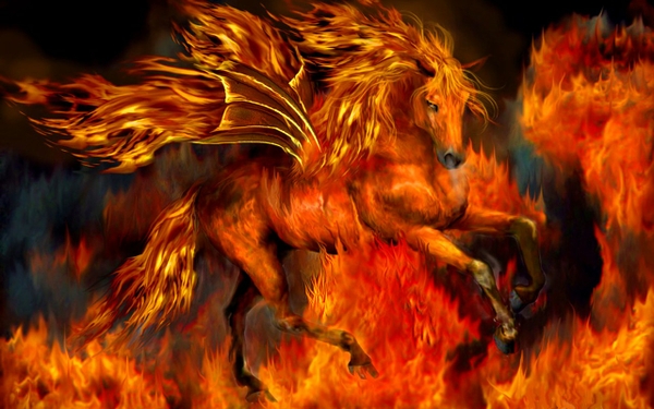 Fire Horses Pegasus Wallpaper Desktop