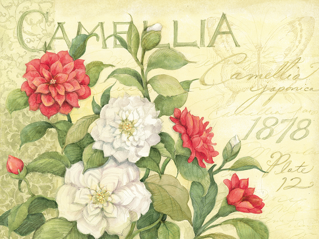 Lang Calendar Wallpaper New Template Site