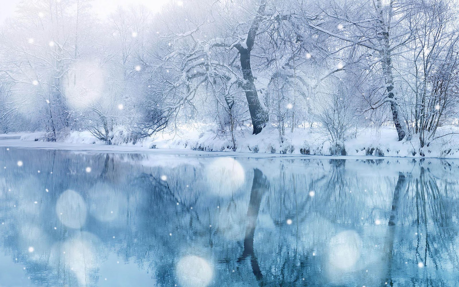 Free download met ijs bomen en sneeuw op oever HD winter wallpaper foto [1600x1000] for your Desktop, Mobile & Tablet | Explore 49+ Animated Screensavers Wallpapers | Screensavers