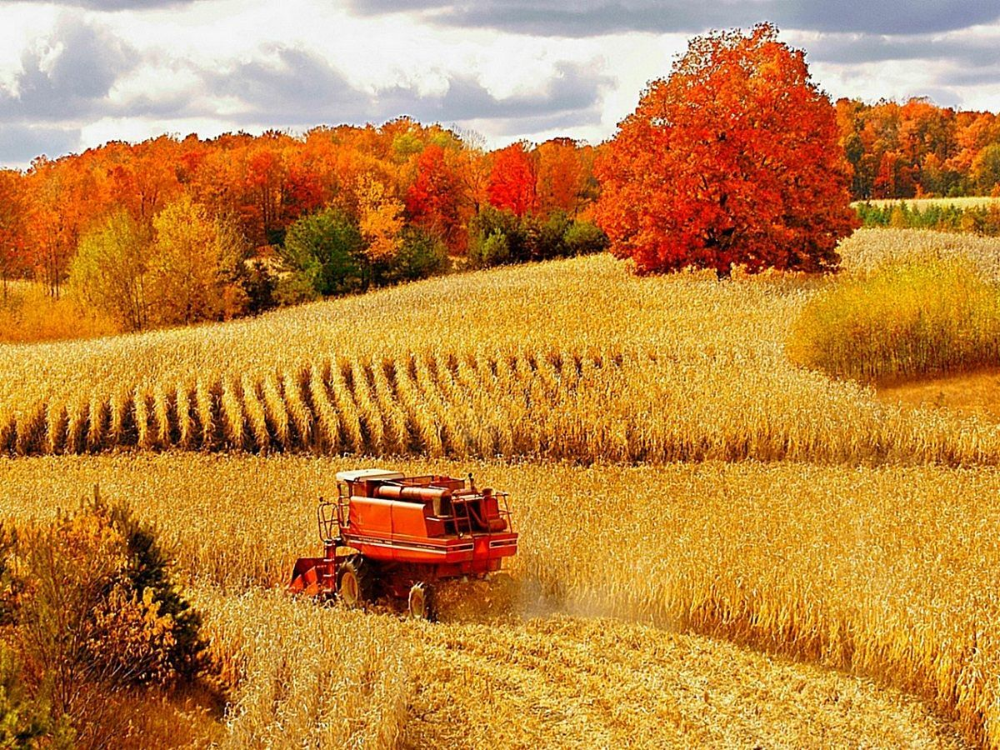 Fall Farm Harvest Wallpaper At Wallpaperbro