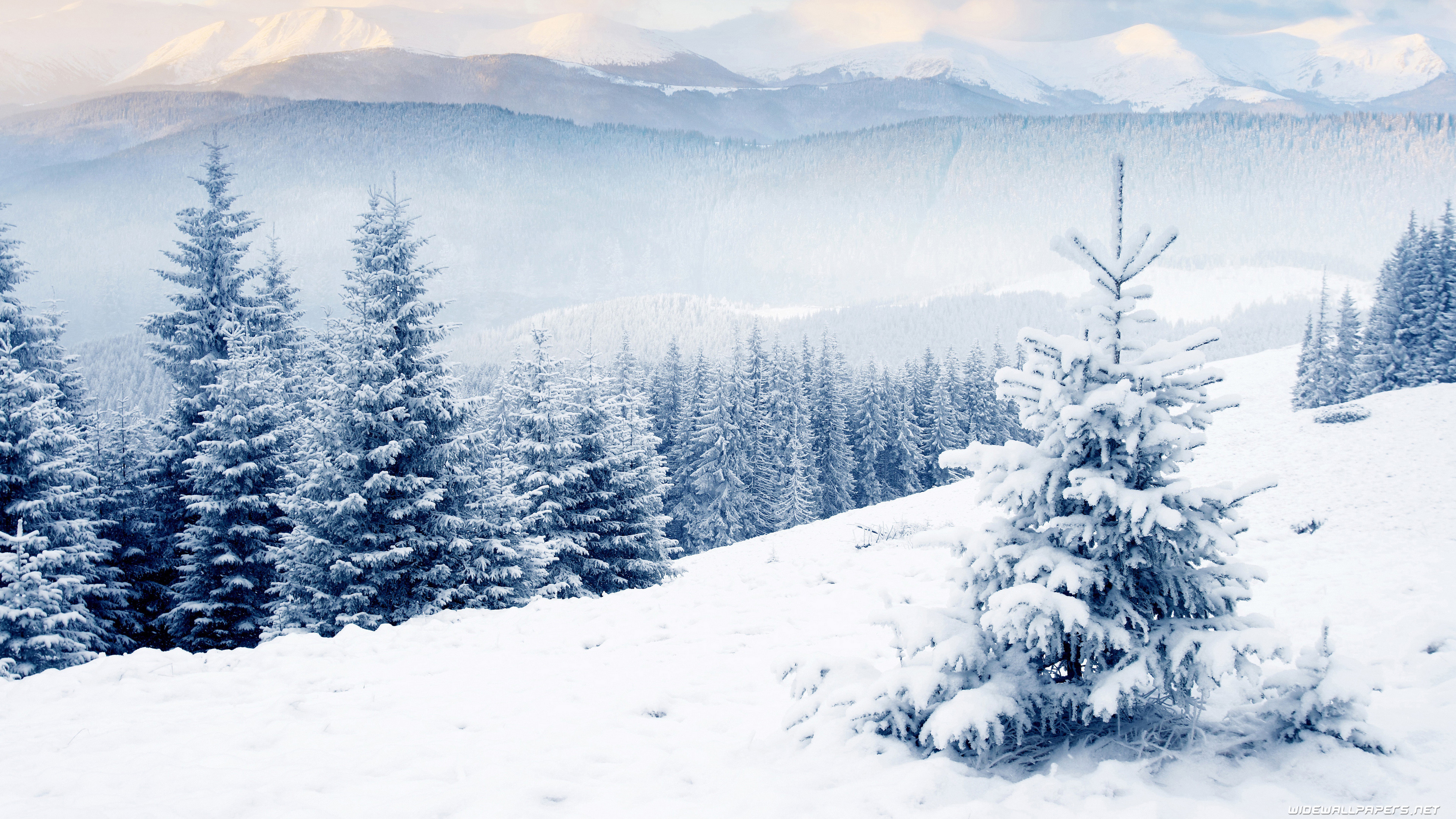 Cute Winter Desktop Wallpaper Image