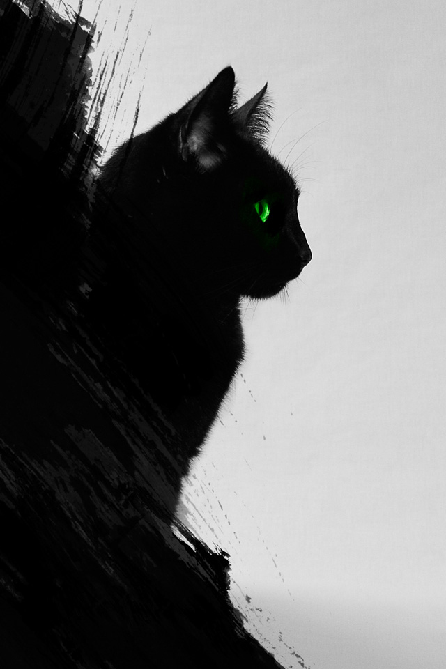 Black Cat iPhone Wallpaper HD