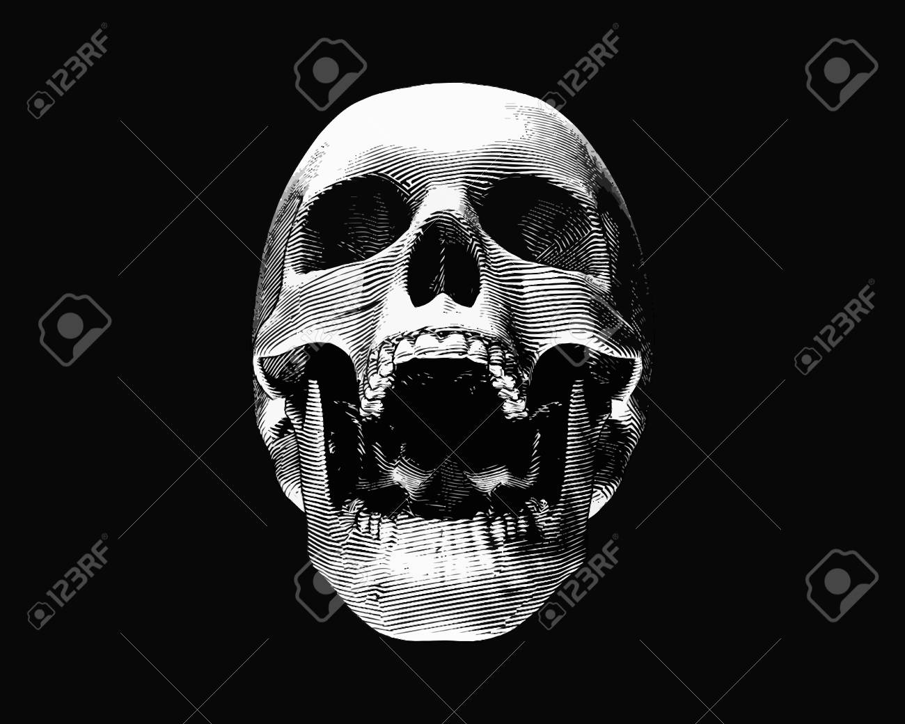 Engraving Monochrome Front Skull Illustration Screaming