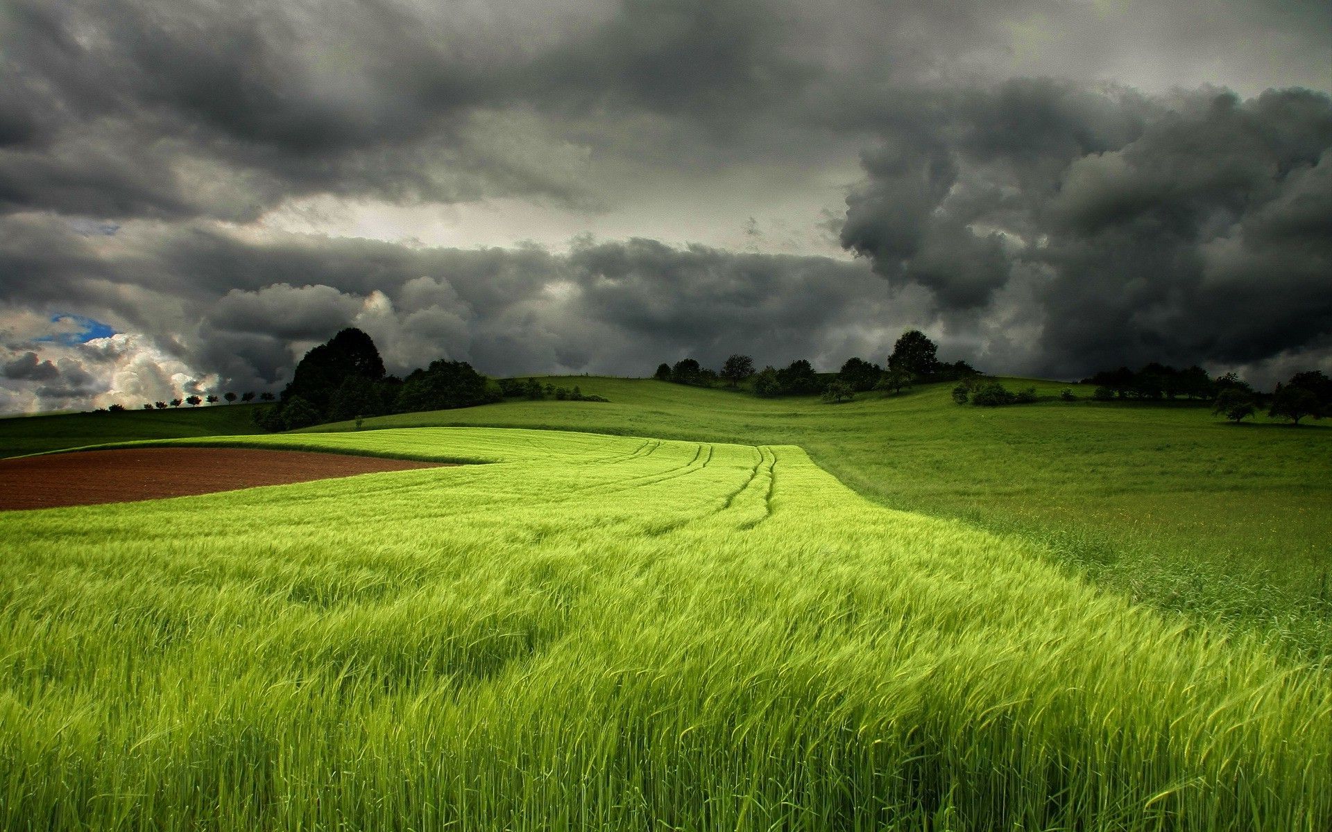 Storm clouds brewing over the field HD Wallpaper 1920x1080 Storm