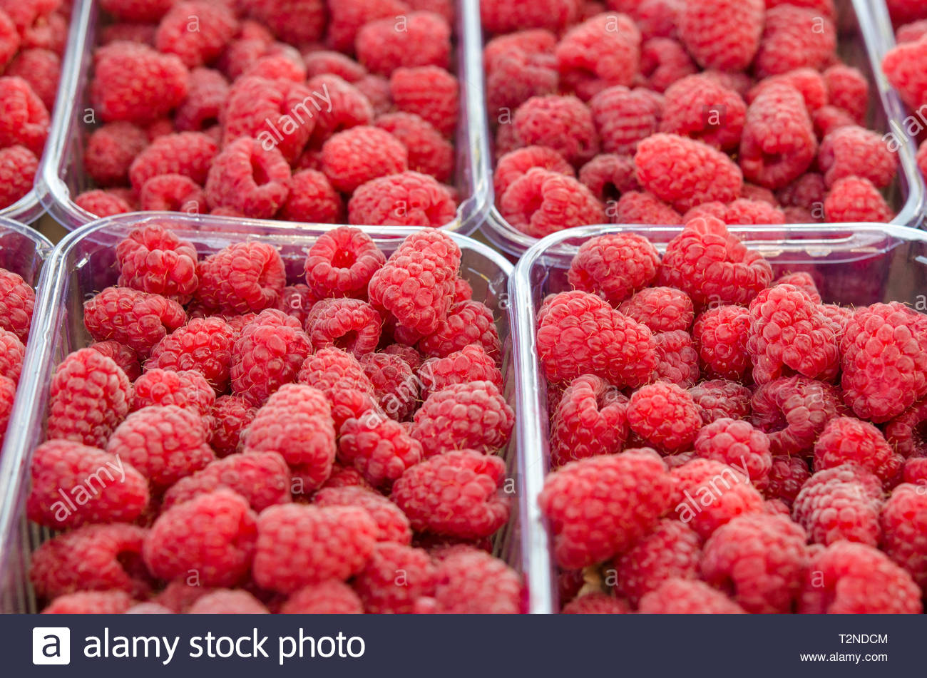 Ripe And Sweet Raspberry Berries In The Display Case Natural