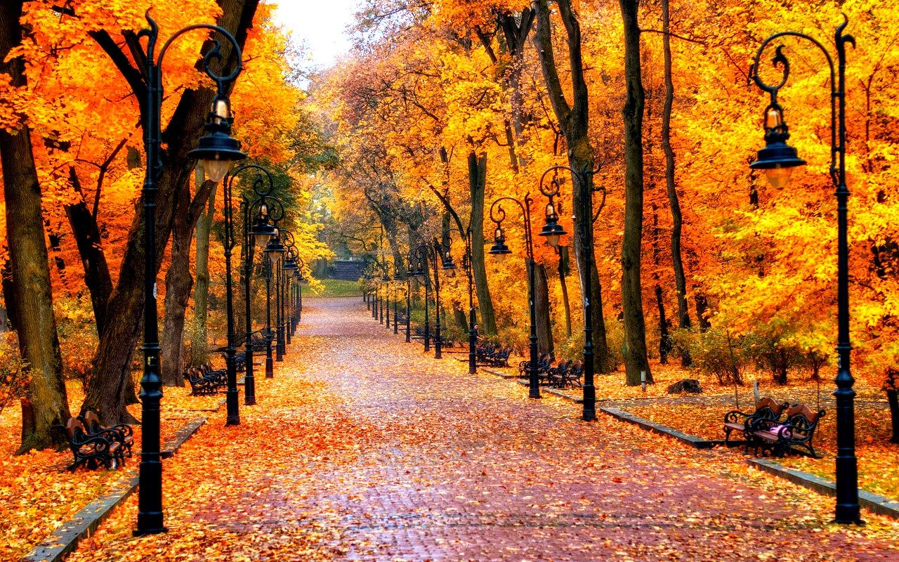 Autumn Wallpaper In September The Autumnal Equinox Fall Prime