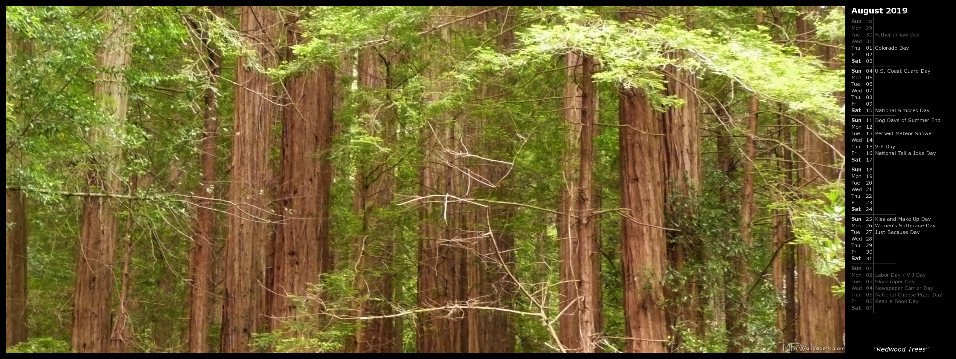 Mlewallpaper Redwood Trees Calendar