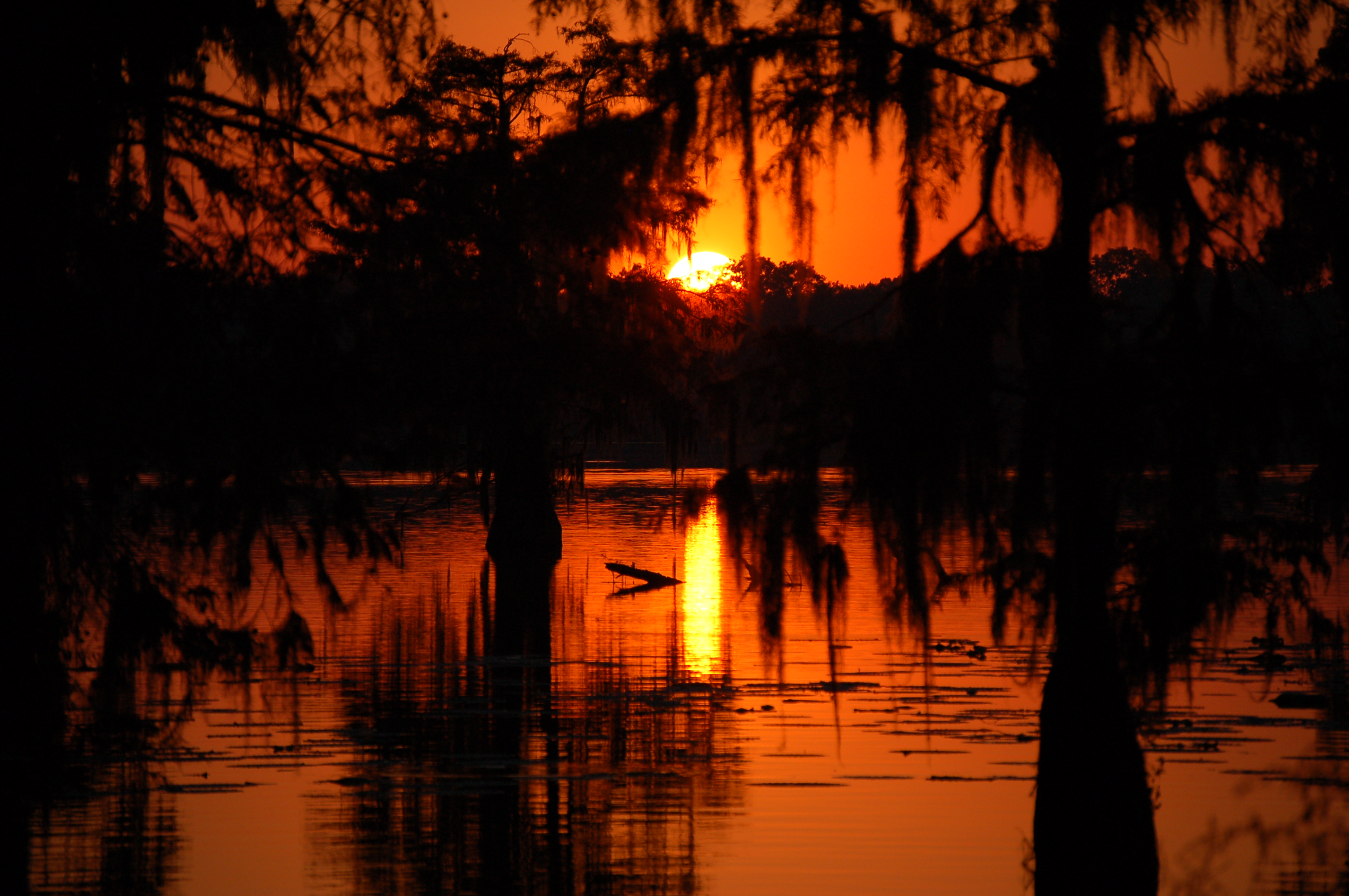 Description Swamp Sunset In Cajun Country Jpg