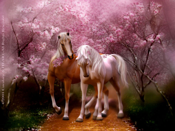 Horse Series Spring Love Two Horses Walking On A Path Of Blossoms