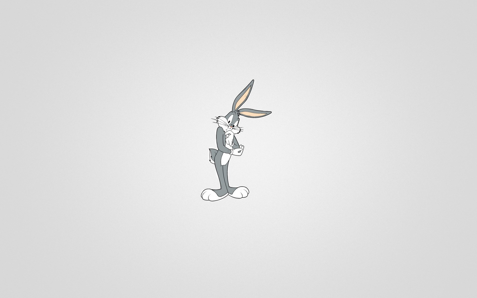 Looney Tunes Puter Wallpaper High Definition