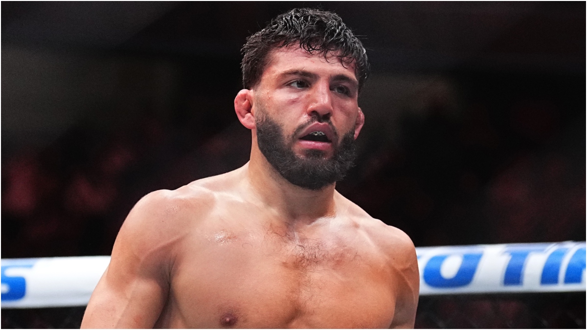 Arman Tsarukyan Appears To Punch Fan Wallpaper