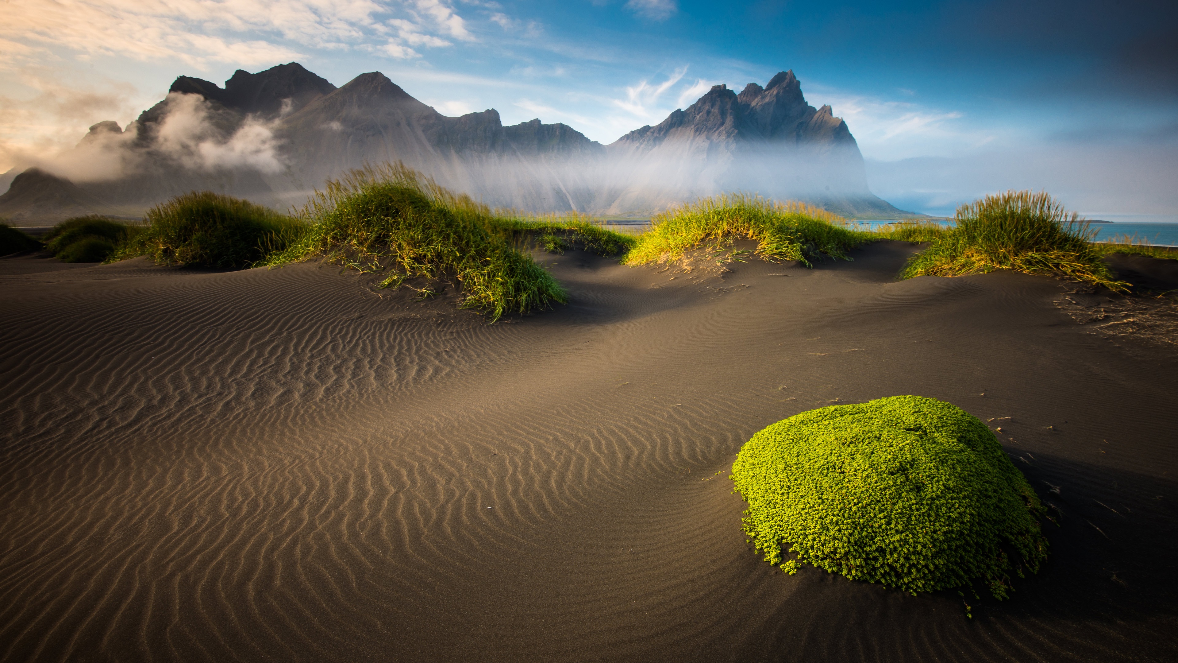 Icelandic Beach Landscape X