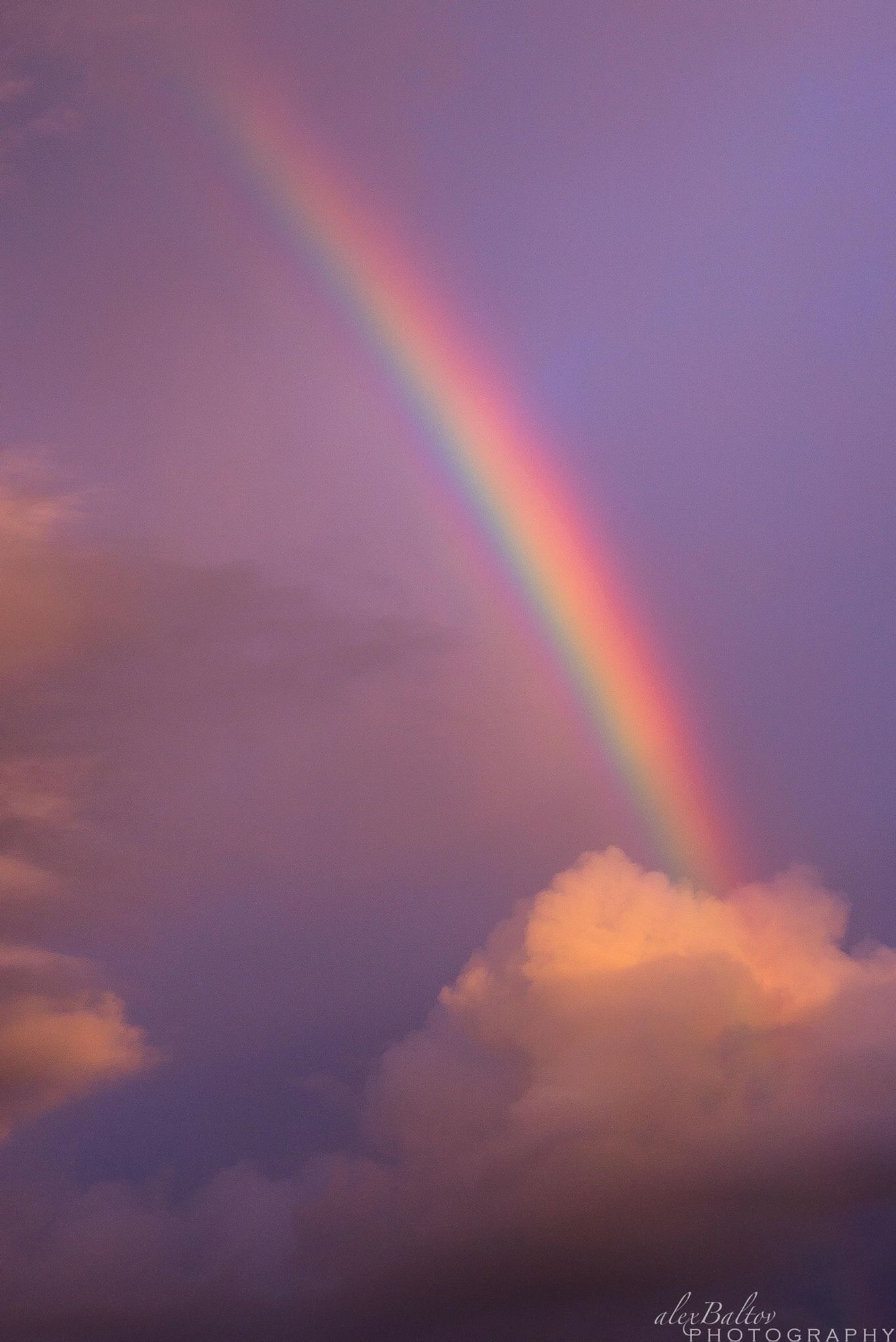 Rainbow Aesthetic Wallpaper