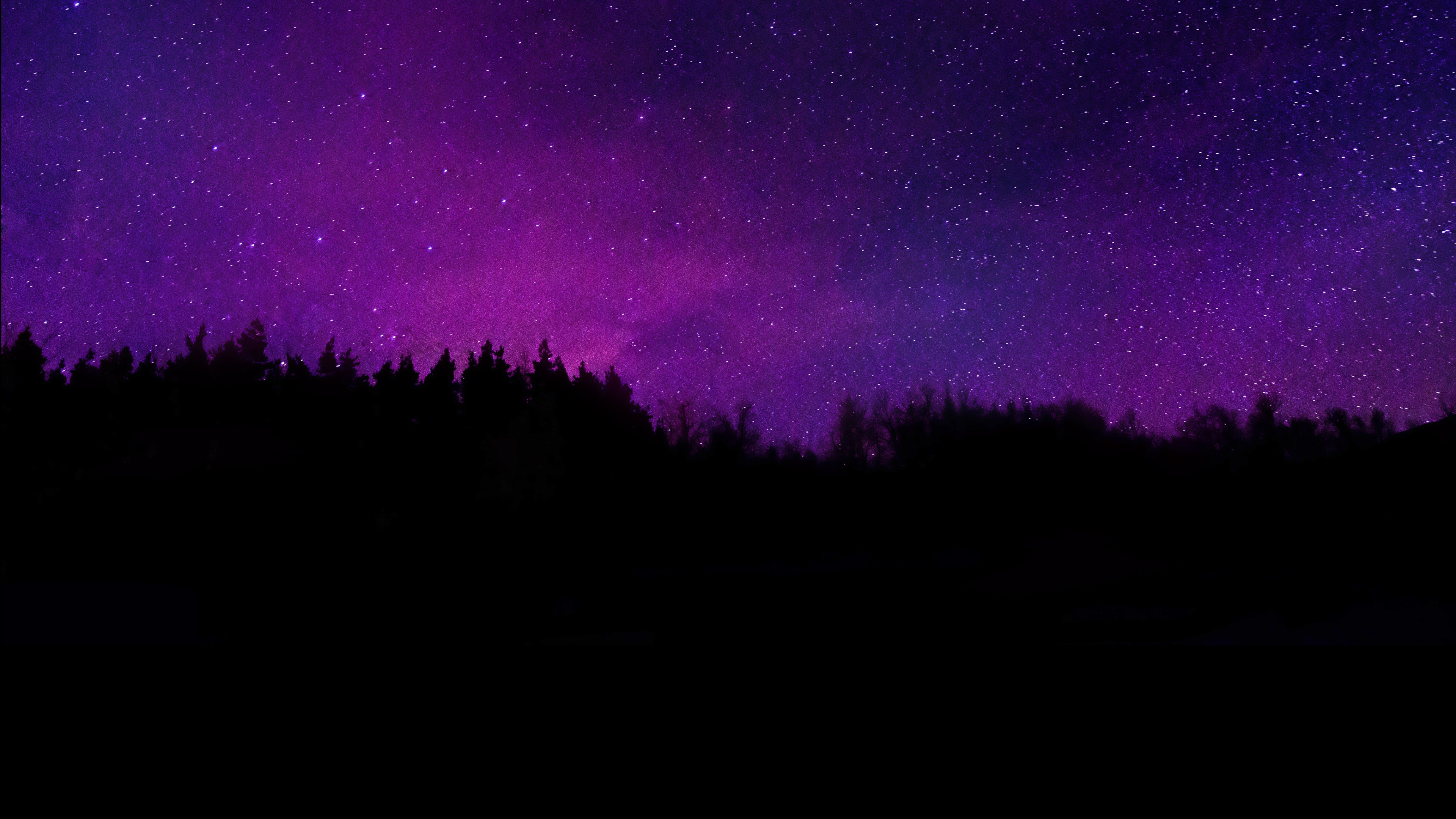 Trees Wallpaper 4k Silhouette Purple Sky