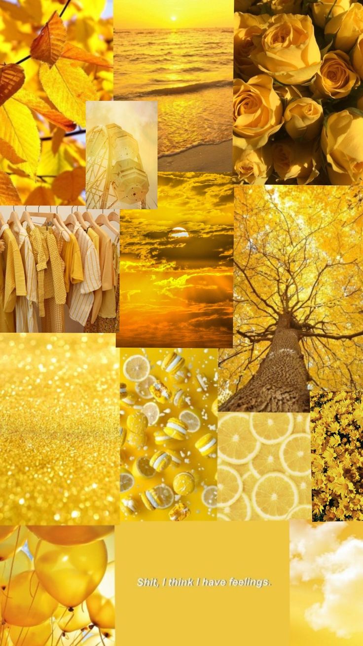 Sunny Yellow Aesthetic Pastel Wallpaper