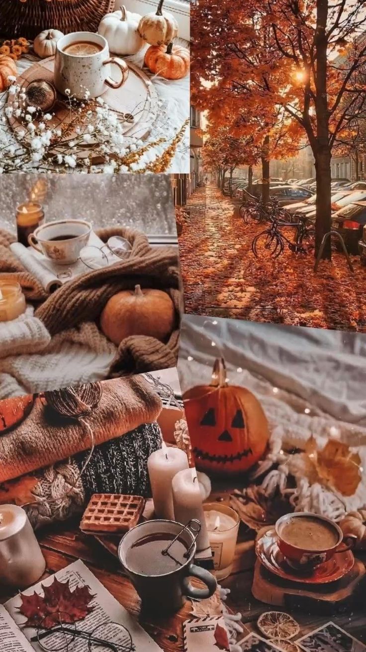 Fall Halloween Mood Board Ideas In Wallpaper