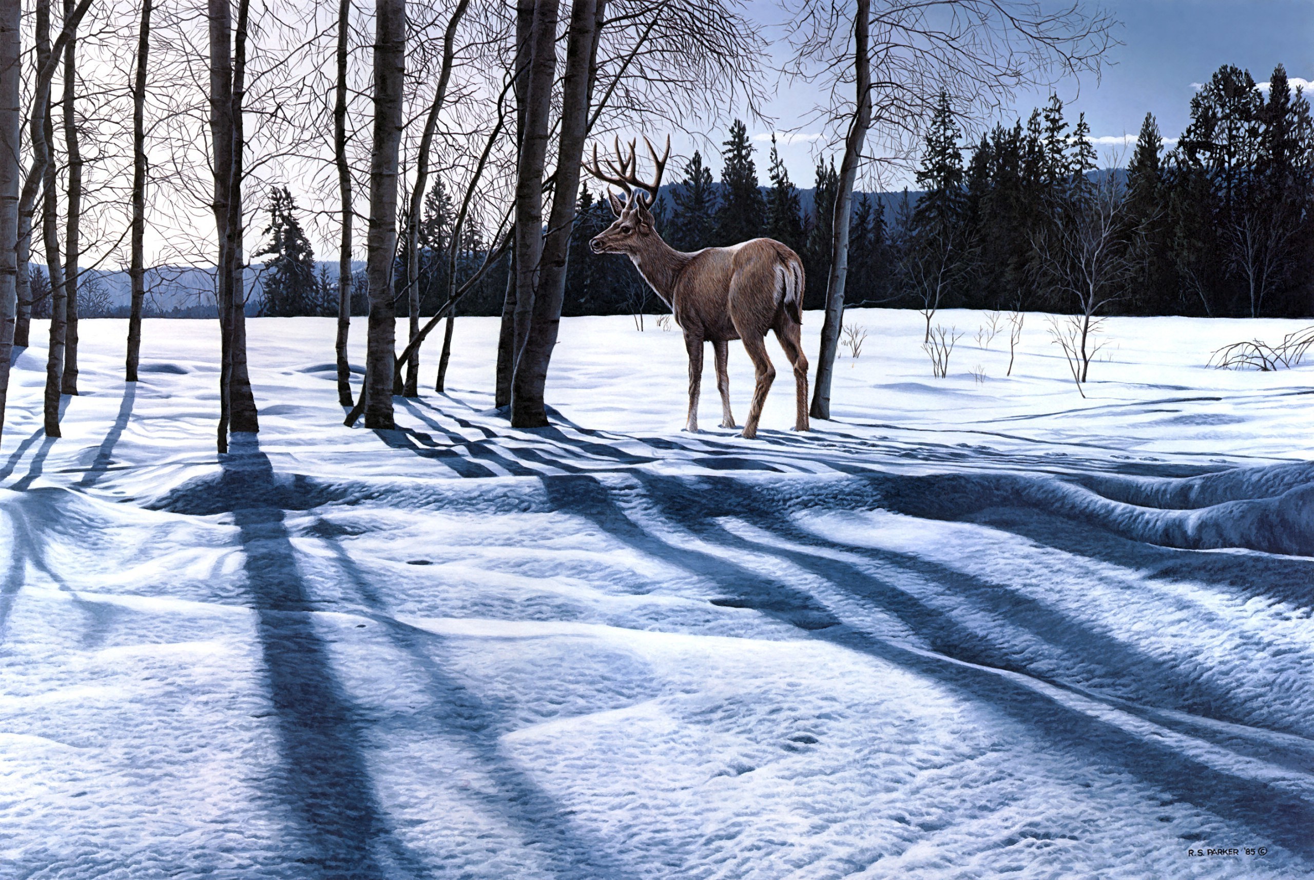 Landscape Deer Winter Snow Wallpaper Background